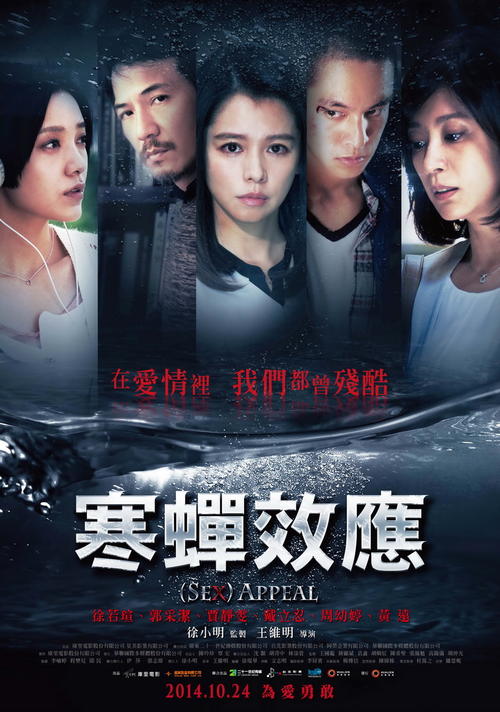 做假的计算机等级/证书